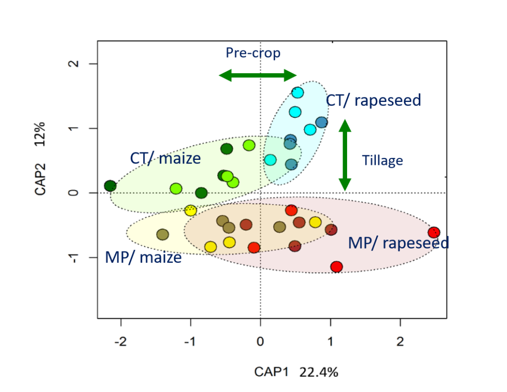 Soil prokaryotic communities